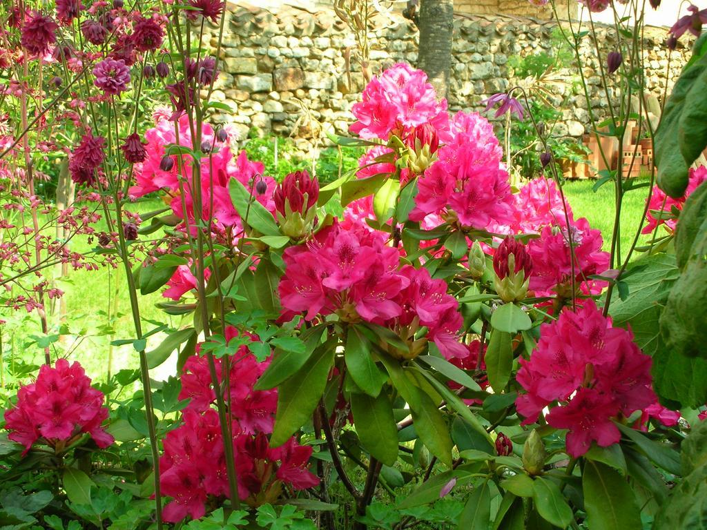 Le Logis Du Four Bed & Breakfast Soudan  Exterior foto